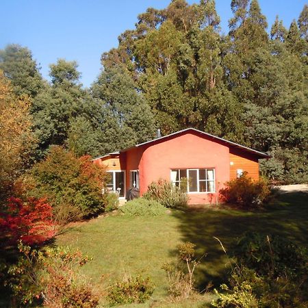 Whispering Spirit Holiday Cottages & Mini Ponies Franklin Extérieur photo