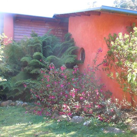 Whispering Spirit Holiday Cottages & Mini Ponies Franklin Extérieur photo